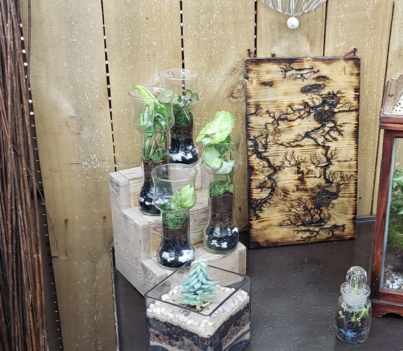 Handmade small sized terrariums. - Picture 3 of 3